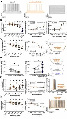 Attenuation of Native Hyperpolarization-Activated, Cyclic Nucleotide-Gated Channel Function by the Volatile Anesthetic Sevoflurane in Mouse Thalamocortical Relay Neurons